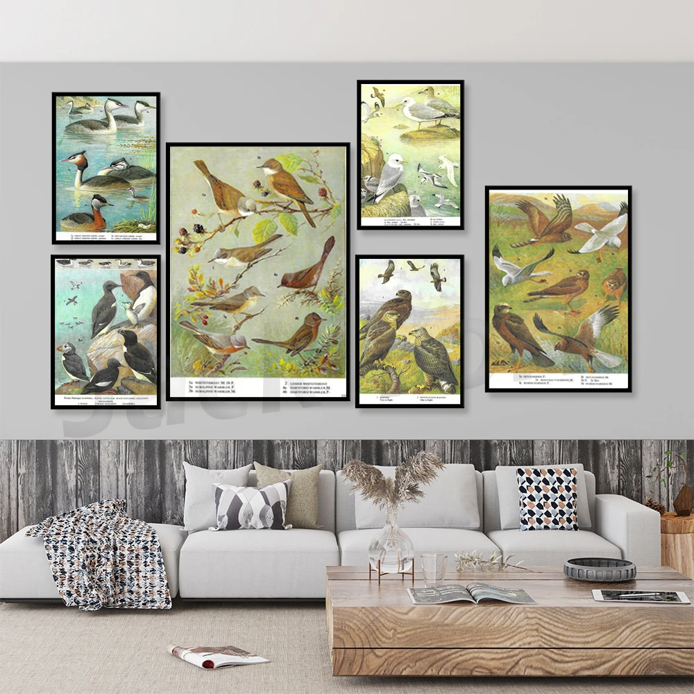 Хориер куриный болотный хориер птица добыча птицы в полете винтажный принт