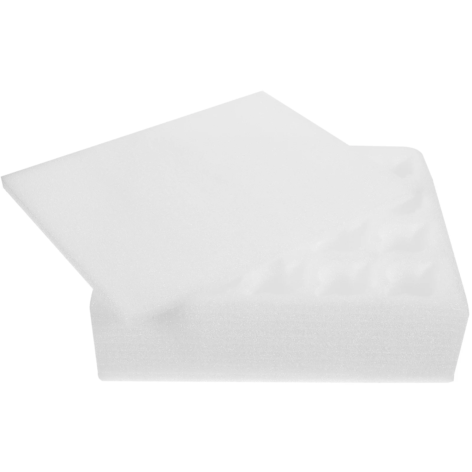 

Egg Trays Shipping Eggs Organizer Shape Household Holder Pearl Cotton Duck Foam Desktop Container