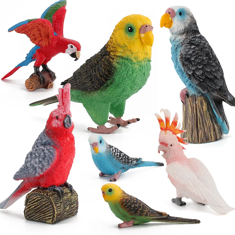 

Hot 7-20cm 7pcs/set wild Animals birds parrot solid PVC Model Action Figures Education Toy Creative ornaments Kids gifts