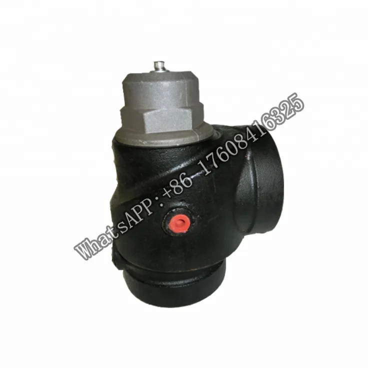 

YXPAKE-Replacement minimum pressure valve 250033-821 for air compressor parts