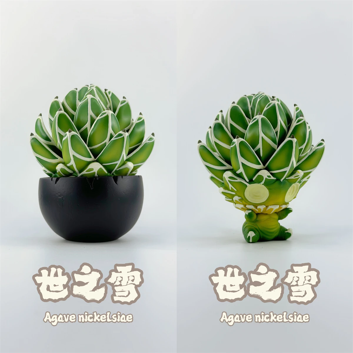 Рисунок 5 - Феи корневой бубенчик 02 Agave