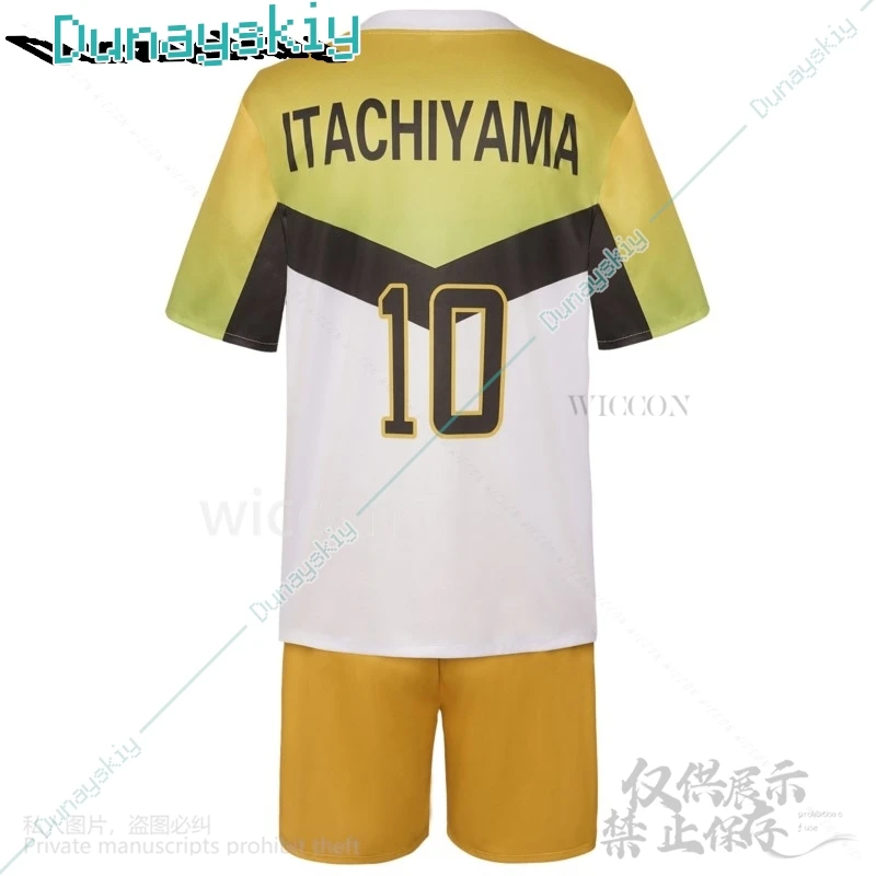 Аниме Институт Итаюамы униформа косплей Сакуса Киёоми костюм волейбольное