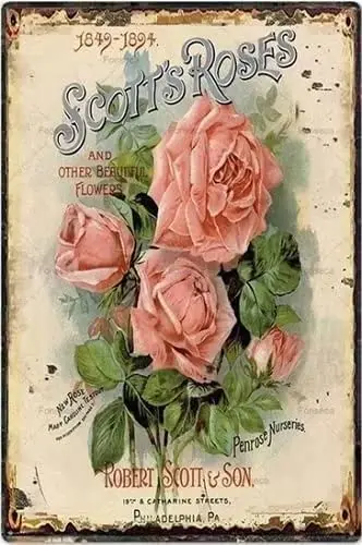 Винтажный потертый металлический жестяной знак скотттс розы искусство шикарный