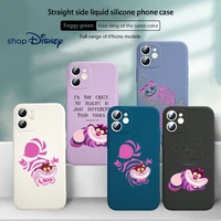 cheshire cat alice wonderland for apple iphone 13 12 mini xs xr se 11 8 7 6 2020 pro max plus liquid silicone soft phone case