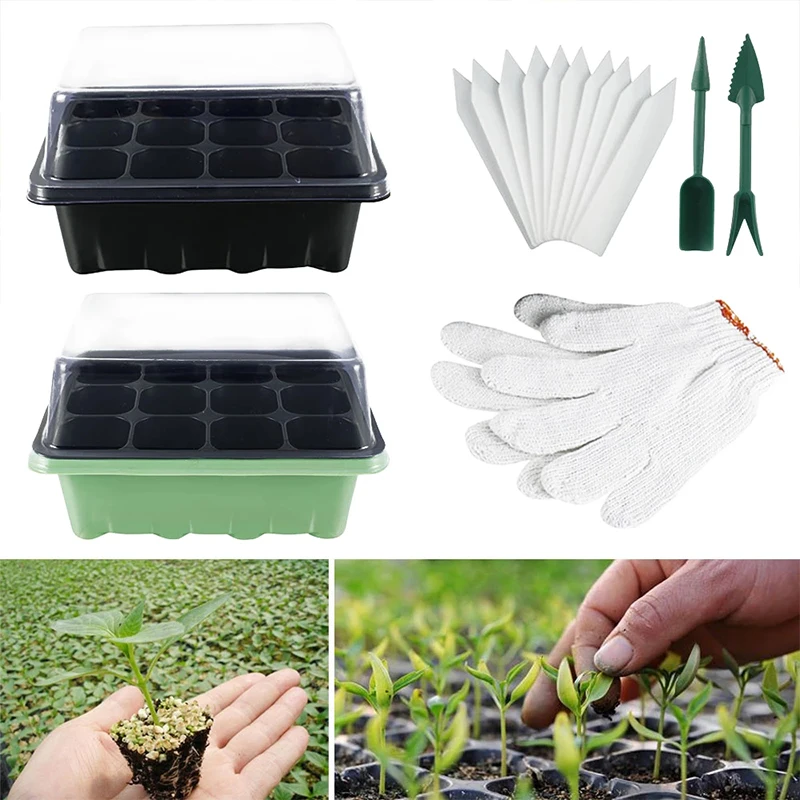 

3 шт., детский разветвитель семян, 12 Ячеек