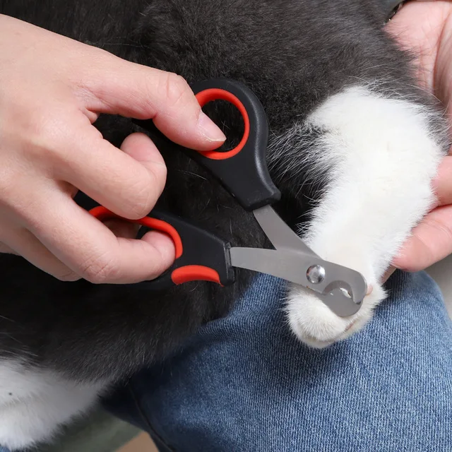 1PC Pet Nail Scissors Dog Cat Nail Claw Grooming Scissors Pet Nails Clipper Trimmer Supplies For Dog Cat Bird Rabbit Pet Gargets 3