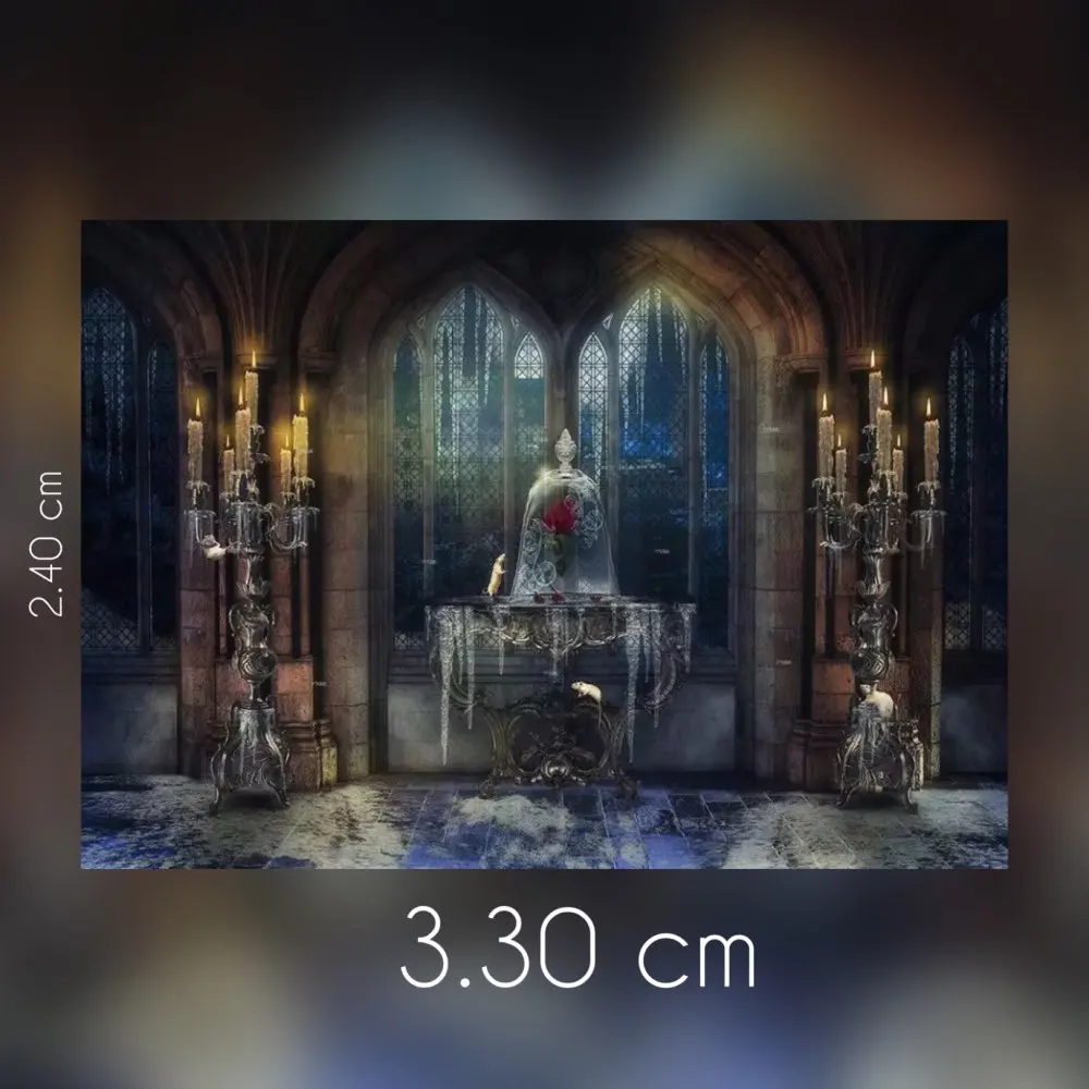 

Фон из полиэстера 330x240 см