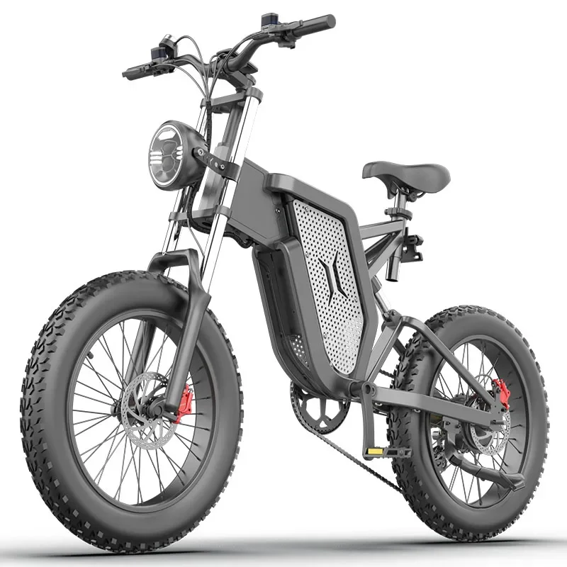 OEM завод серый аккумулятор съемный 48 В литиевый полная подвеска EKX X20