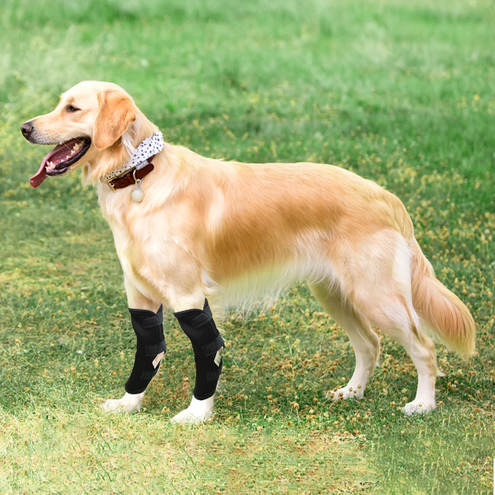 

Leg Knee Pads For Dogs Recovery Bandage Anti-lick Wound Dog Arthritis Auxiliary Fixed Joint Protector Dog Accessories