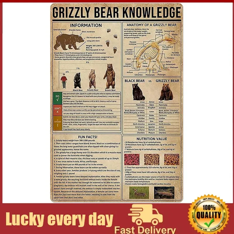 

Grizzly Bear Knowledge Metal Tin Sign,Vintage Wall Decor Aluminum Poster for Home Bedroom Cafe Garage metal plate vintage