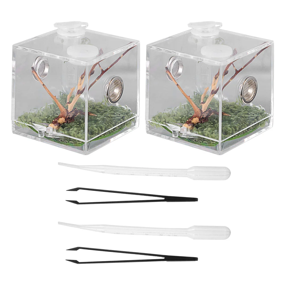 

Reptile Habitat Cage Glass Container Feeding Box Jumping Spider Terrarium Hatchery Cricket Breeding Enclosure