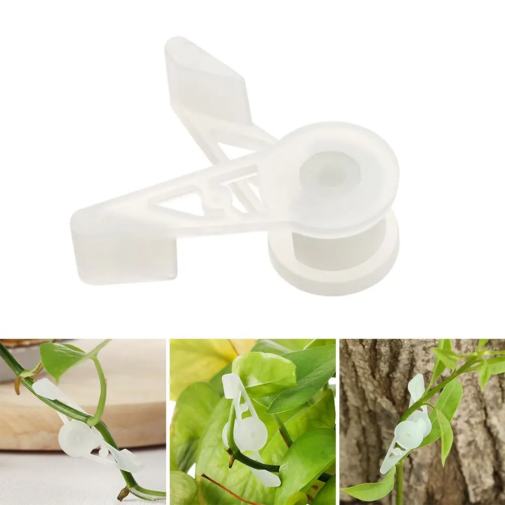

Avoid Crowding Easy to Use 90 Degree Plant Bender Control The Growth Low Stress Plant Training Reuseable LST Clips