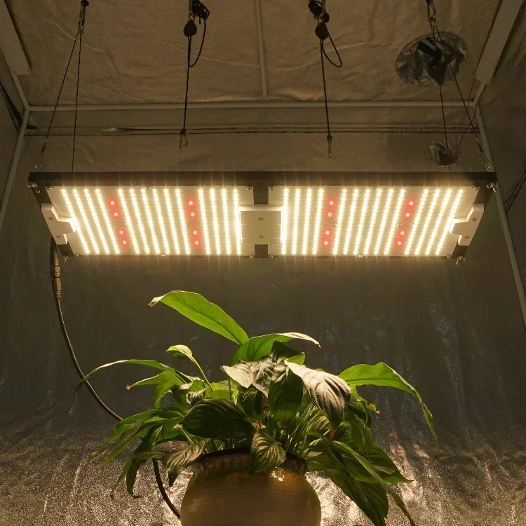 Предварительно собранная светодиодная плата Kingbrite 240 Вт Lm301h + Xp-e2 660 нм лампа для