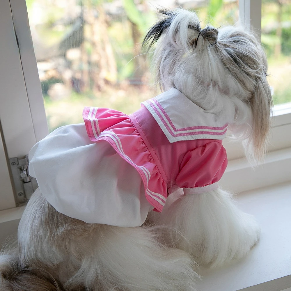 

Pet Preppy Navy Collar Skirt Puppy Pet Cat Clothes Teddy Dog Poodle Dog Dress Dog Dress for Small Dog Spring/summer Pet Dress