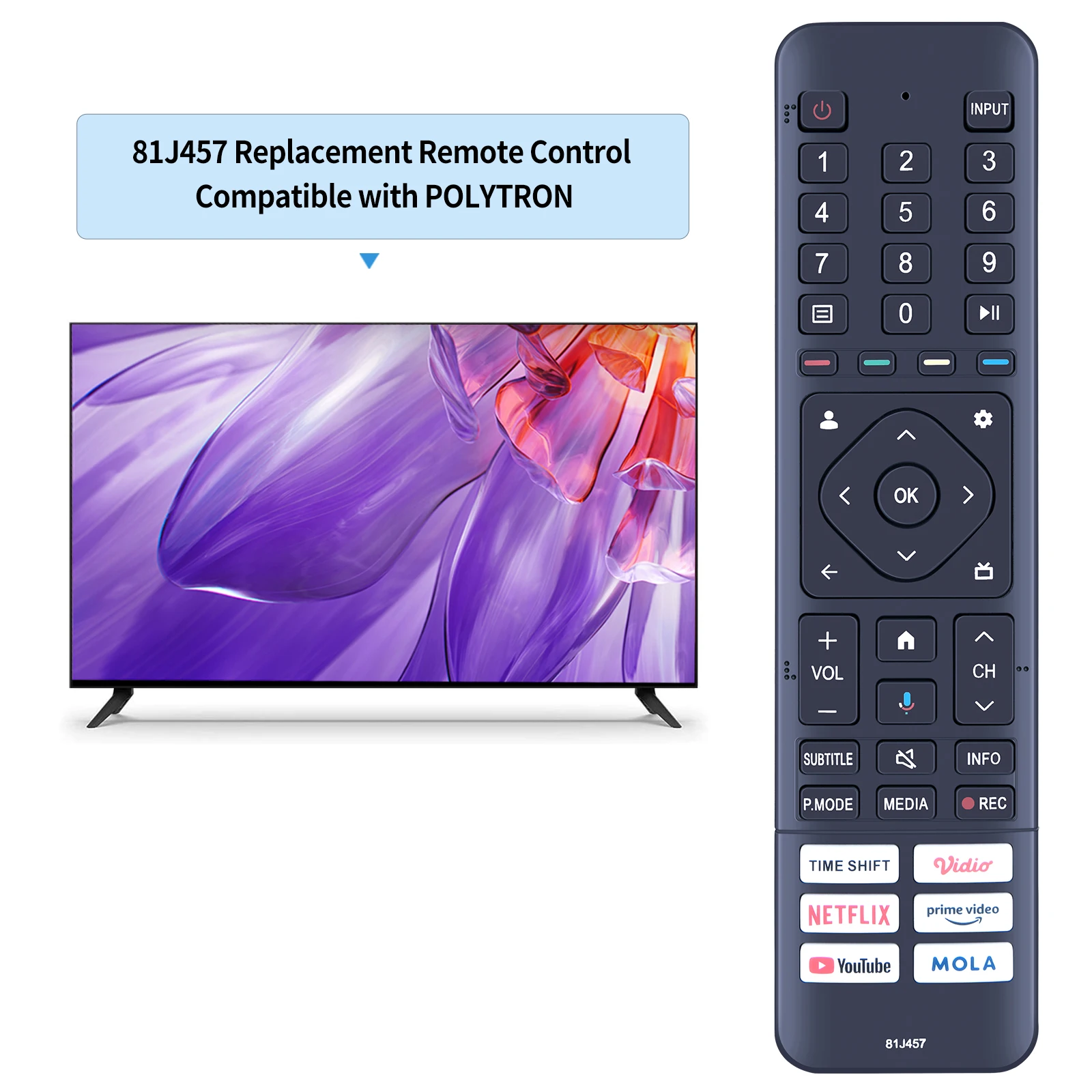 Пульт дистанционного управления для POLYTRON 81J457