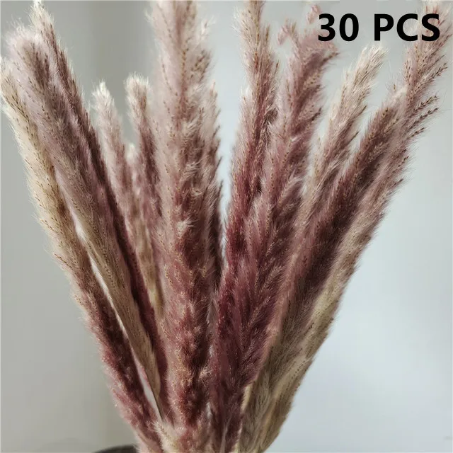 

45CM Reed Pampas Wheat Ears Rabbit Tail Grass Natural Dried Flowers Bouquet Wedding Decoration Hay for Party Bohemian Home