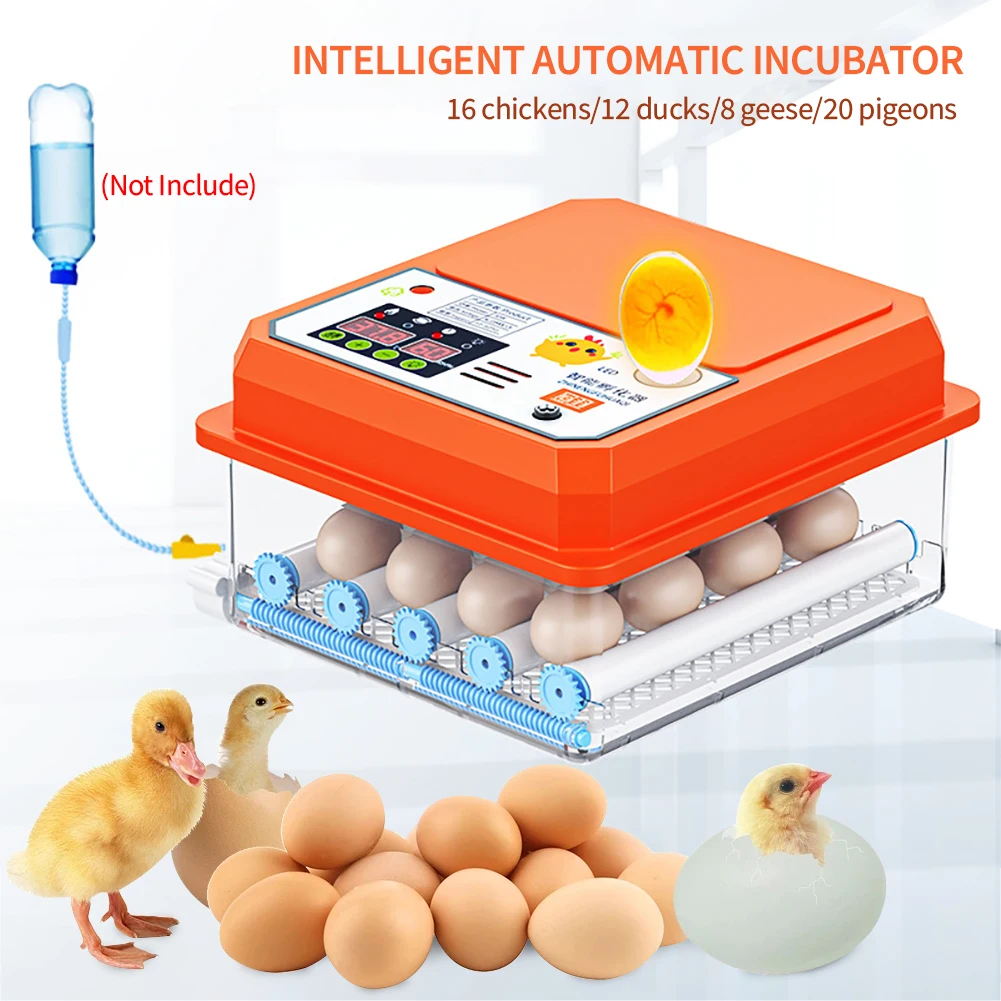 

12/16 Eggs Single Double Full Automatic Egg Incubator Hatchery Egg Hatchers Brooder Automatic Eggs Incubator Bird Quail Brooder