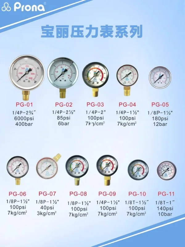 Оригинальный барабанный смеситель давления Prona RT диафрагменный насос манометр