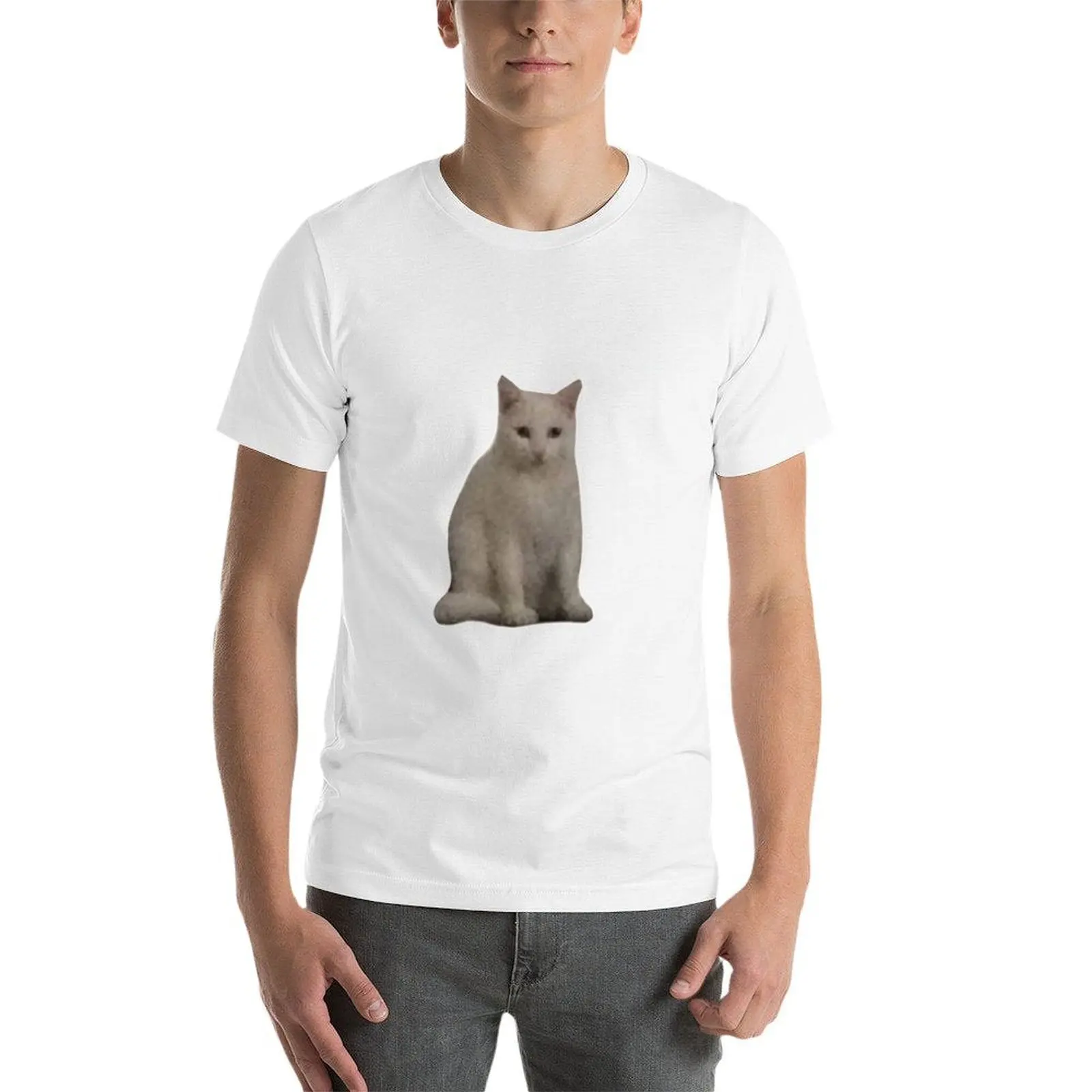 Фото Футболка Fat Stinky Basic с коротким рукавом для мужчин №3
