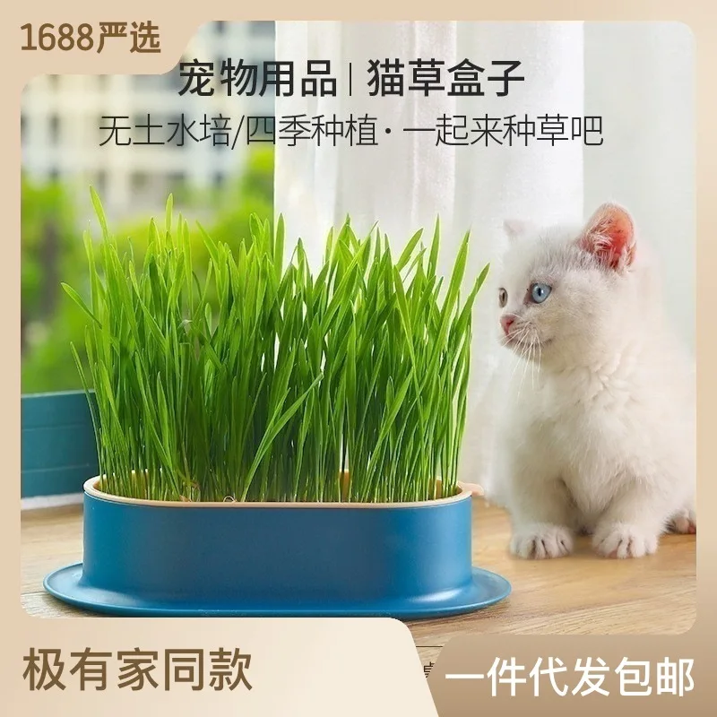 

New Pet Cat Sprout Dish Growing Pot Hydroponic Plant Cat Grass Germination Digestion Starter Dish Greenhouse Grow Box