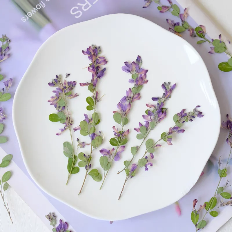 100 шт. двухцветные закладки для фотографий