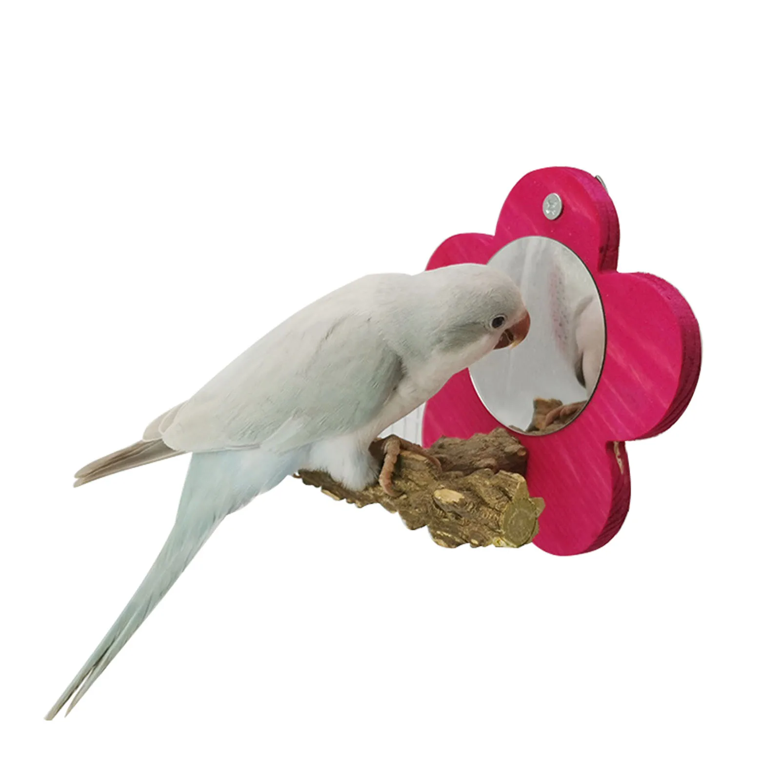 

Зеркальный деревянный попугай для птичьей птицы, клетки