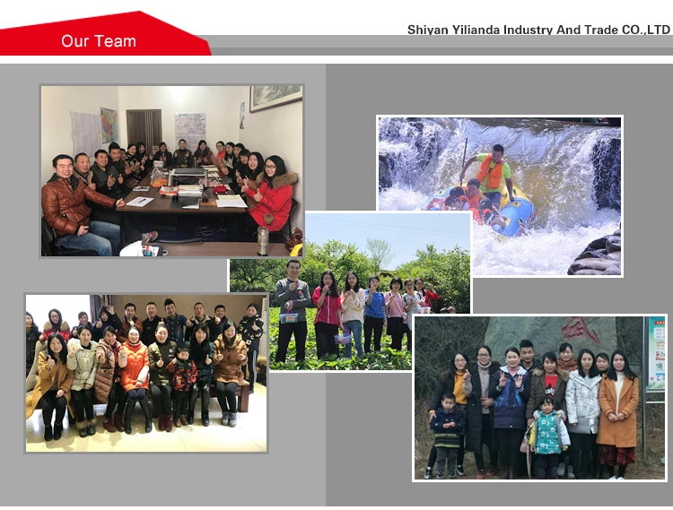 5303018 детали для дизельных двигателей ISDE ISBE дозирующий насос мочевины карбюратора