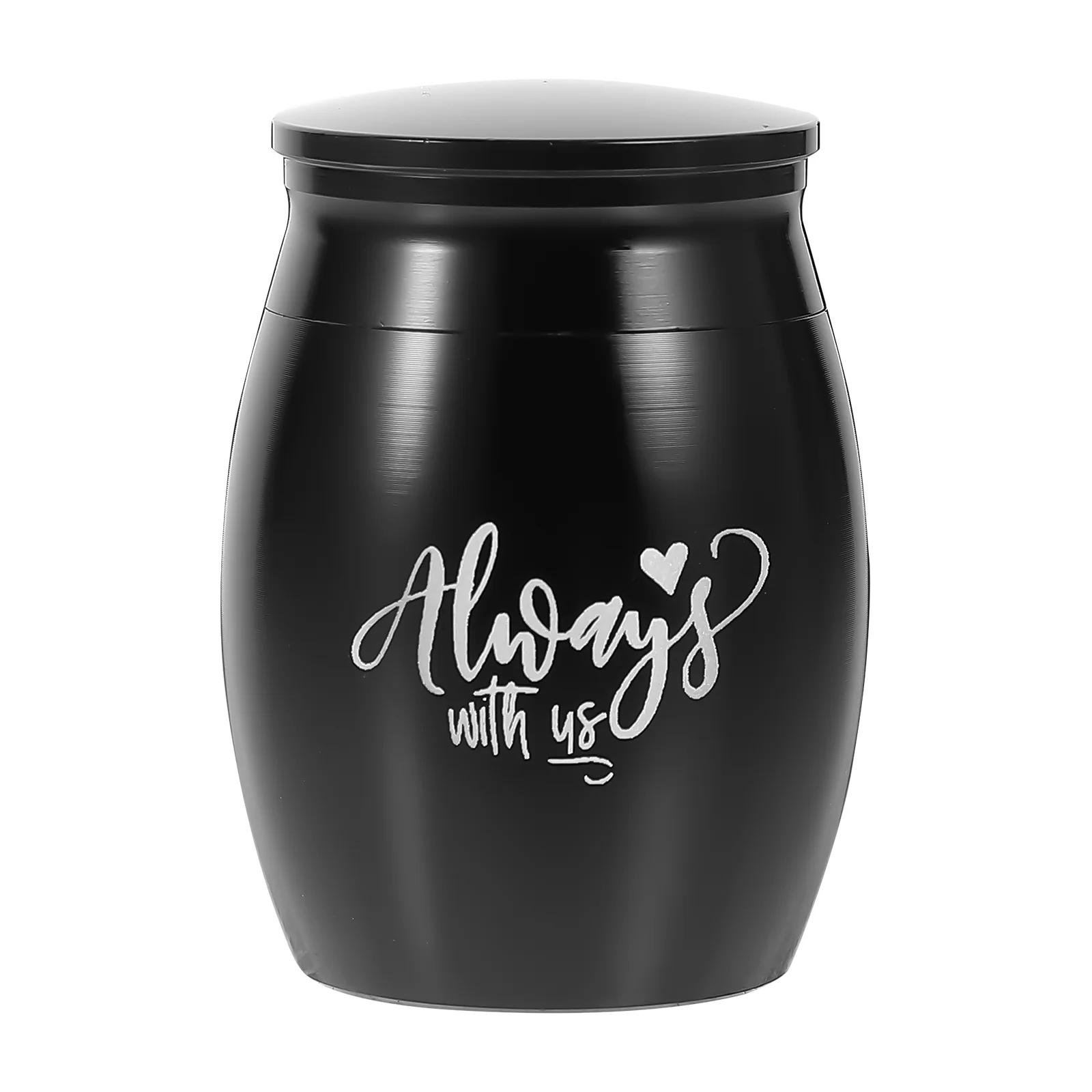 

Urn Pet Dog Urns Cremation Keepsake Cat Mini Stainless Steel Memorial Pendant Ash Jar Cinerary Casket Animal Box Charms Holder