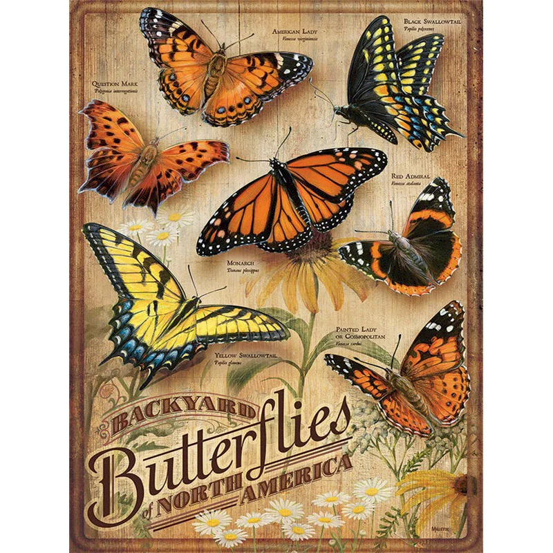 

GATYZTORY Painting By Numbers Butterfly Specimens Handmade Picture By Numbers On Canvas Digital Paint Kits 60x75cm Framed Decor