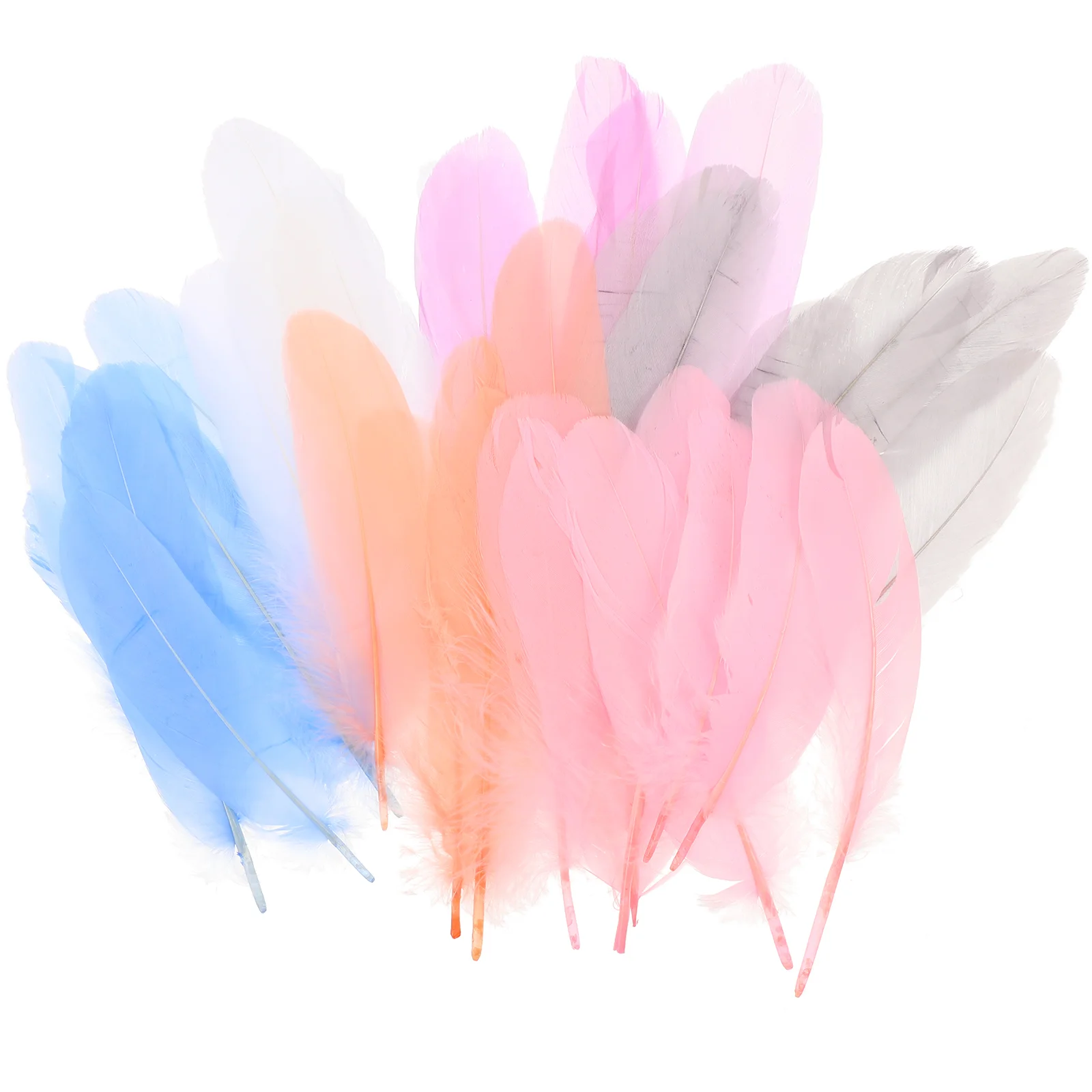 

300pcs Plumes Fringe Trim Feathered Dress Trim Plume Trim For Dress Decor Natural Plume Fringe Feathered Dress Accessories