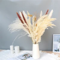 reed series premium 40pcslot dried pampas grass bouquet natural fluffy pampa for boho home decor wedding decoration diy plants
