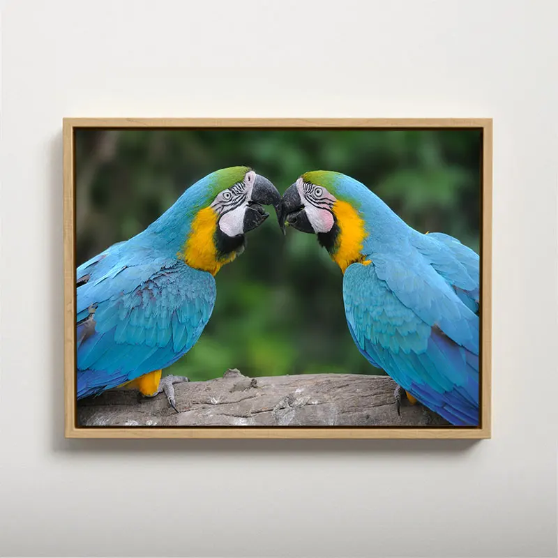 

DUATNS Parrot Canvas Painting Wall Decaration Decorative Paintings Home Decoration Accessories With Frame Interior Paintings