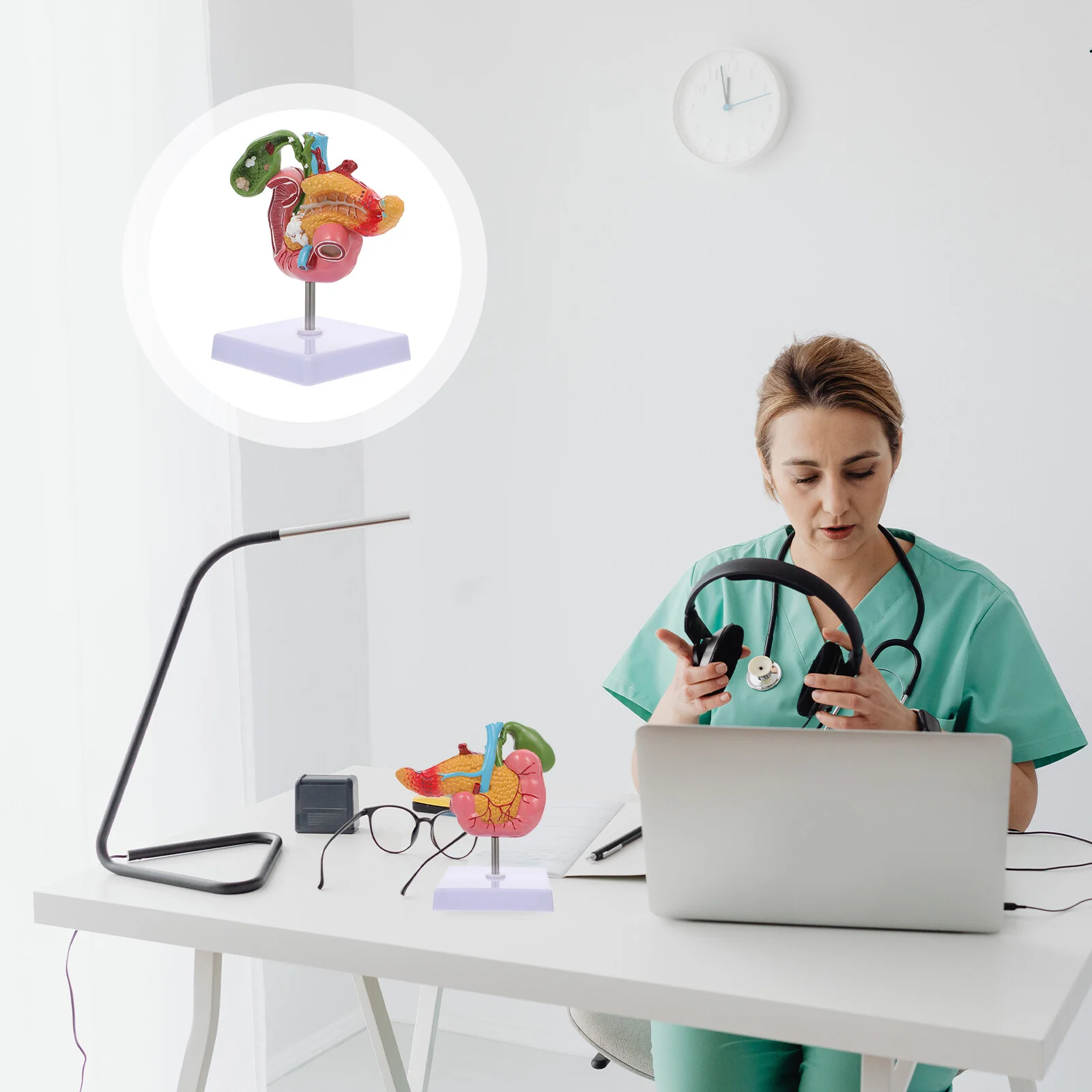 

Gallstone Digestive System Model Pathological Pancreas Duodenum Lesion Human Pvc Duodenal Teaching Instrument