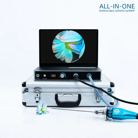 Күйеуі жоқта орыс келіншек алдайды.