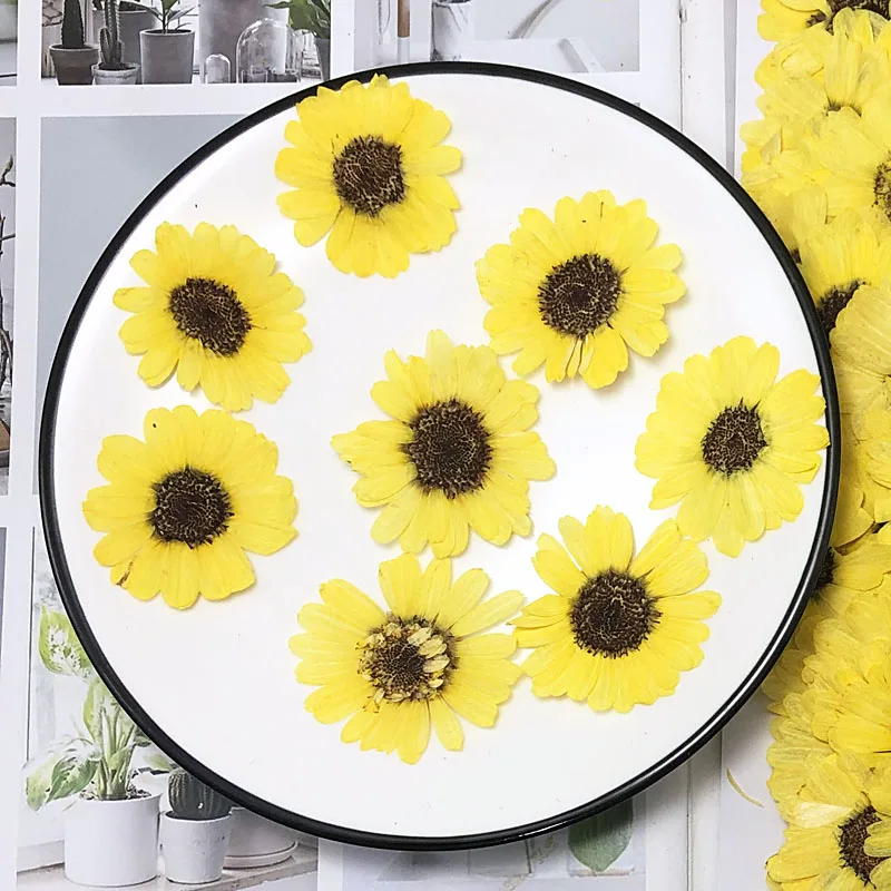 

40pcs 3-5cm Pressed Dried Black Core Sunflower Flower Plant Herbarium For Jewelry Bookmark Phone Case Scrapbooking DIY Making