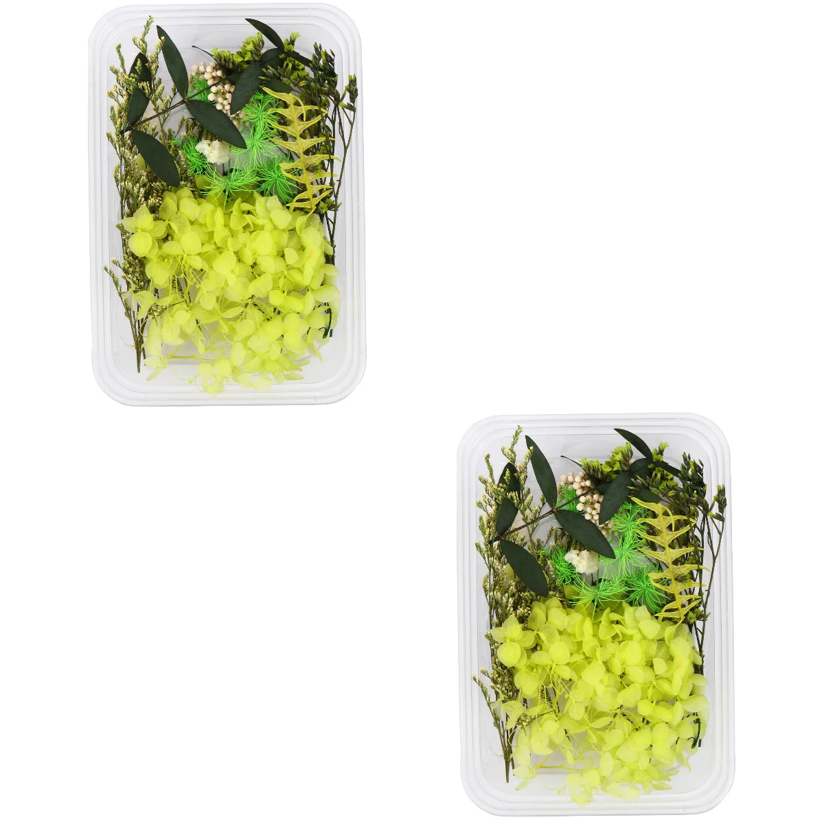 

Dried Flowersresin Molds Pressed Flower Scrapbookingadornment Aromatherapy Making Bath Stickers Bomb Supplies Nails Diy