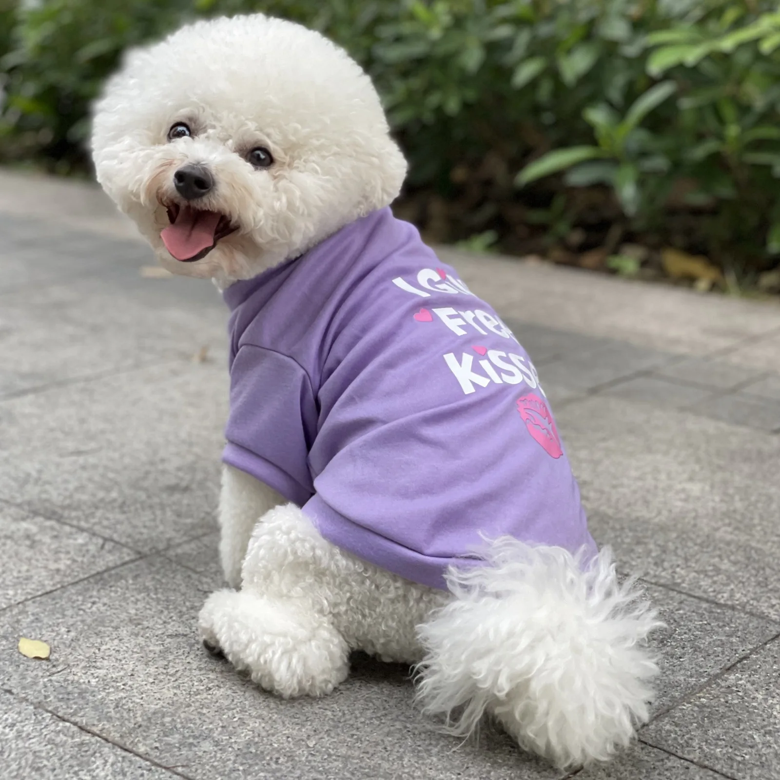 Детская одежда для щенков жилет собак рубашка кошек мягкая толстовка чихуахуа