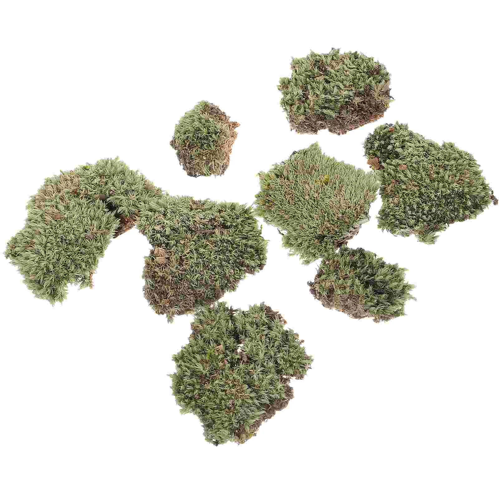 

1 Box of DIY Moss Turf Micro Landscape Bottle Lichen Moss Mat Green Moss Material