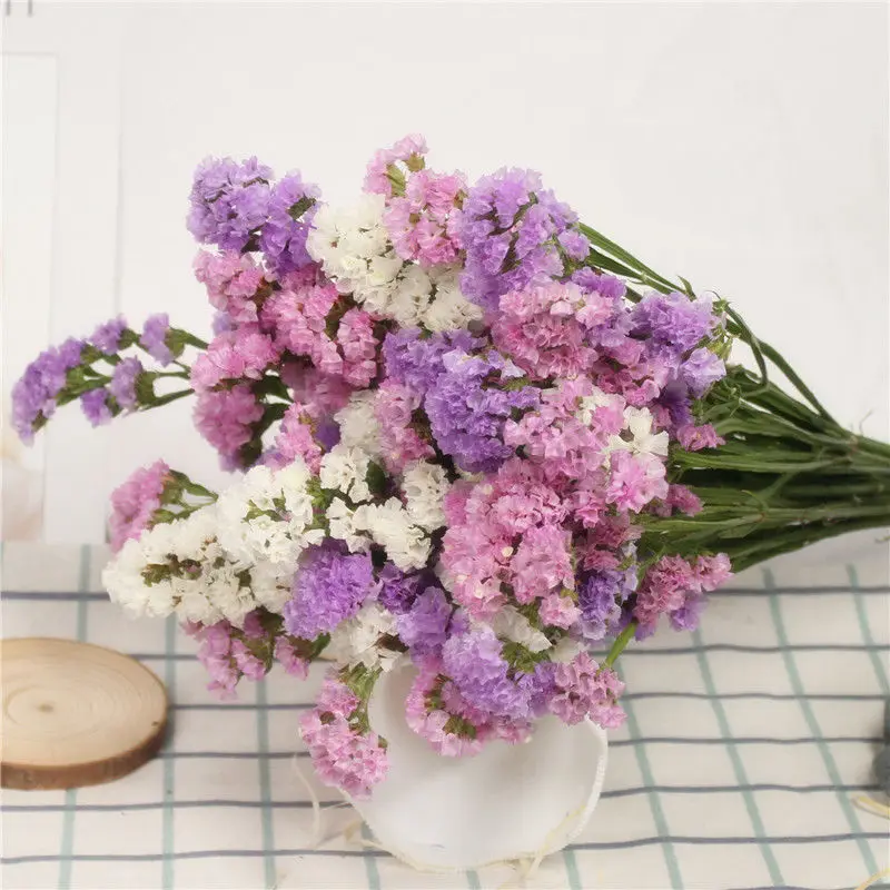 

Myosotis Natural Dried Flowers Grass Home Wedding Decoration Accessories DIY Wedding Festival Party Bouquet Gift Floral Cotton