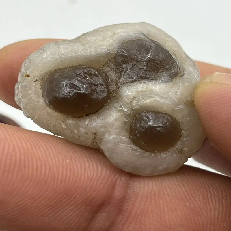 1Pcs Natural Crystal Agate Panda Agate Extremely Precious Rare Raw Stone As Cute As The Head Of A Puppy Dog Three Eyes Agate