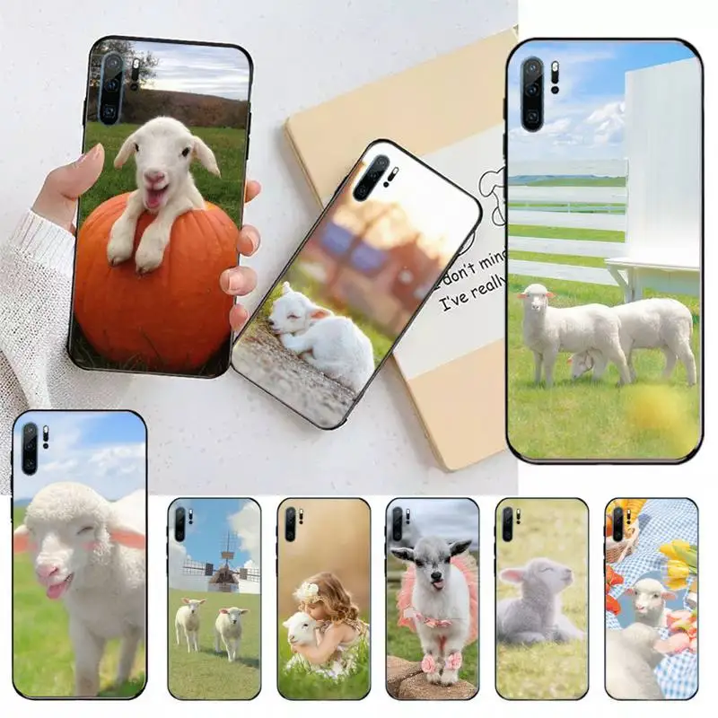 

little sheep cute animal Phone Case For Huawei honor Mate 30 40 50 20 8 70 5 9 10 Pro P x i s y Lite nova