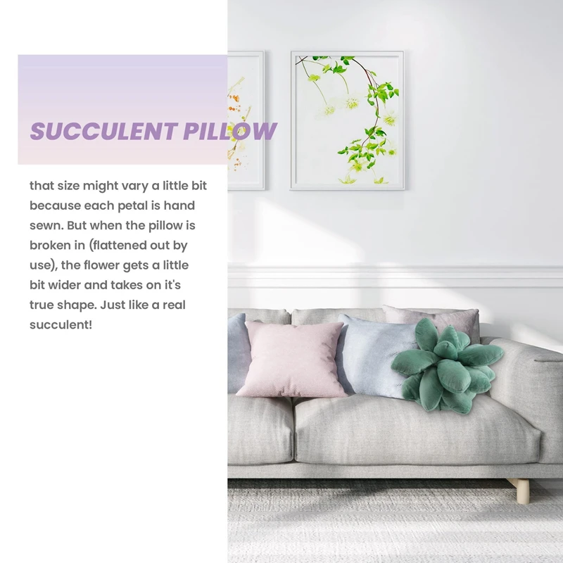 Суккуленты подушка суккуленты планкуленты милые для сада или зеленых влюбленных