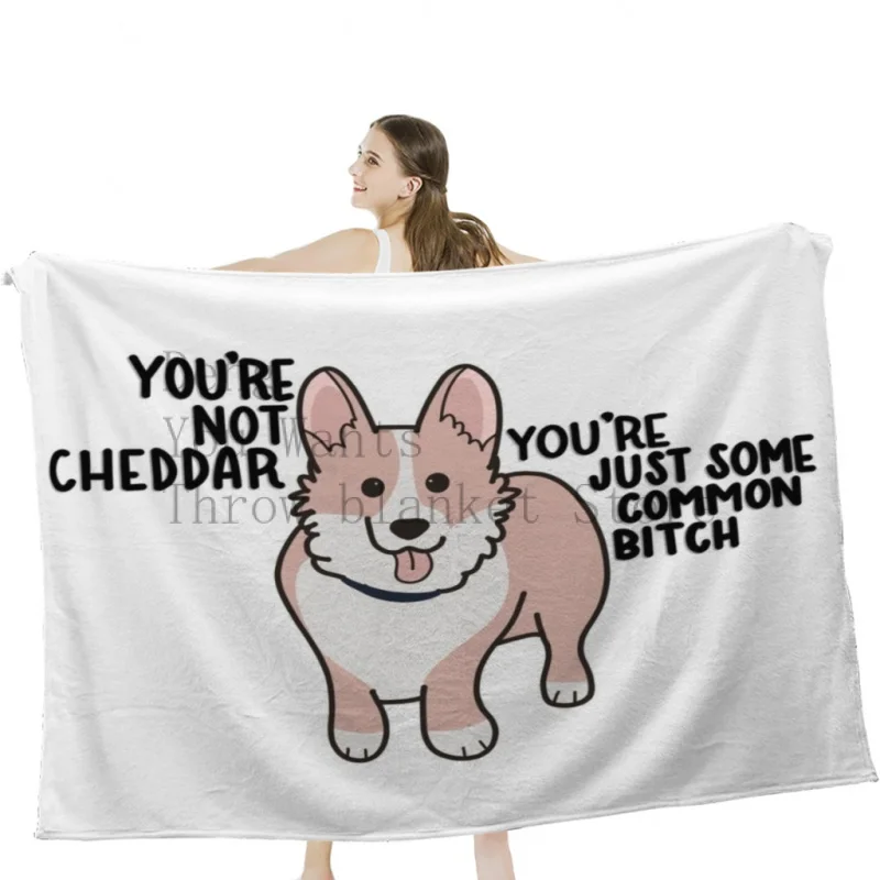 

Not Cheddar Soft Velvet Blanket Lightweight Bed Blanket Home Decor Fleece Blanket