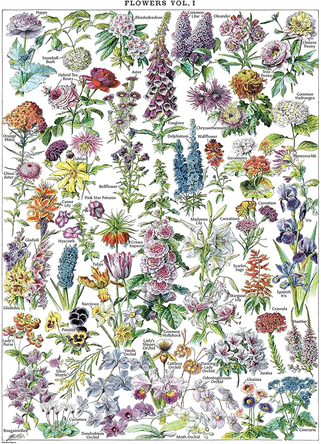 

Винтажный цветочный ботанический диаграммный металлический знак