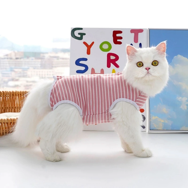 Костюм для выздоровления кошек костюм хирургического питомца комбинезон женщин