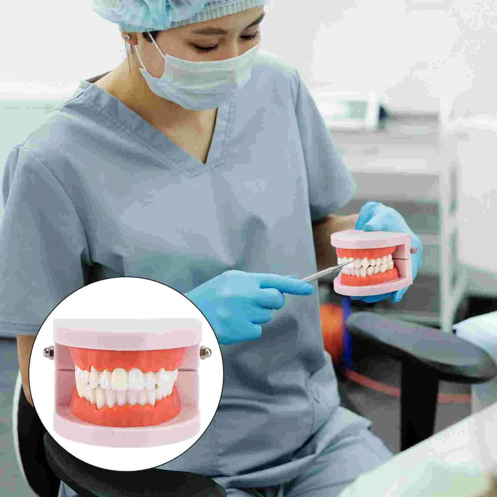 

Model Teethtoothfake Models Teaching Mouth Kids Typodont Oralstudents Study Standard Caries Dentist Pathological Decay
