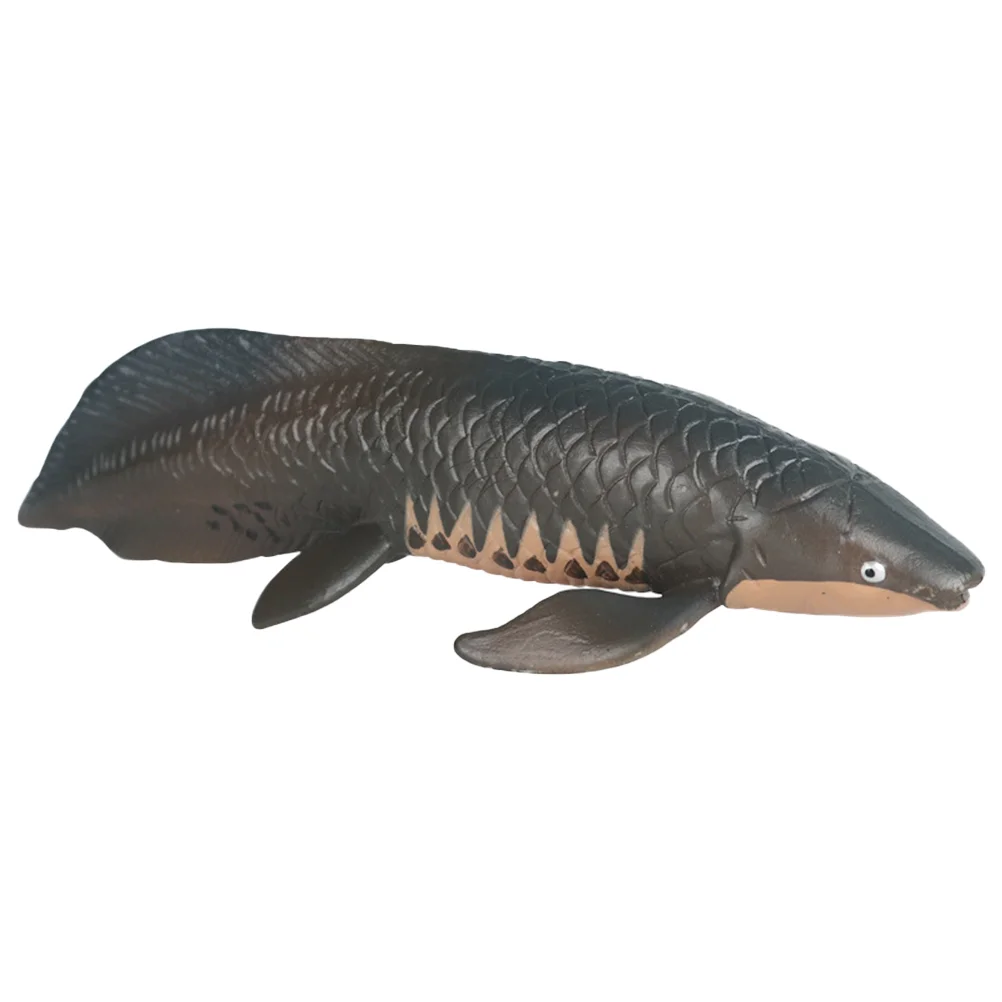 

Simulated Arapaima Pirarucu Model Simulation Fish Adornment Solid Marine Animal Decor Plastic Children Models
