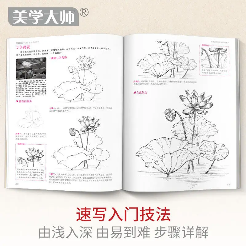 Рисунок 6 - Учебник по технике эскизов