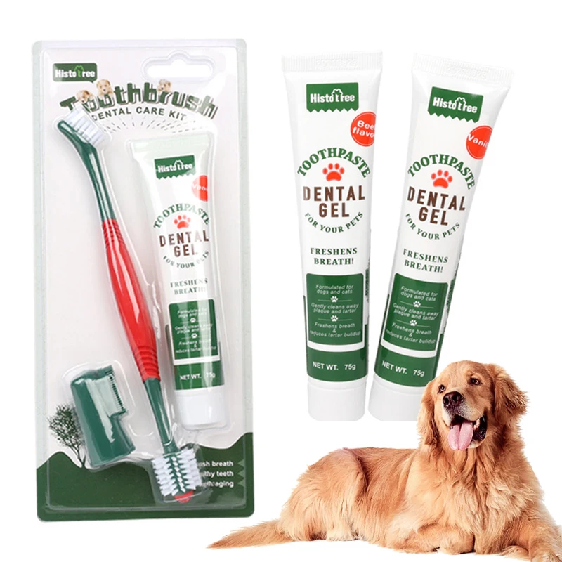 

Pet Healthy Edible Toothpaste With Toothbrush Dog Cats Mouth Teeth Cleaning Care Vanilla Beef 2Taste Pet Supplies Accessories