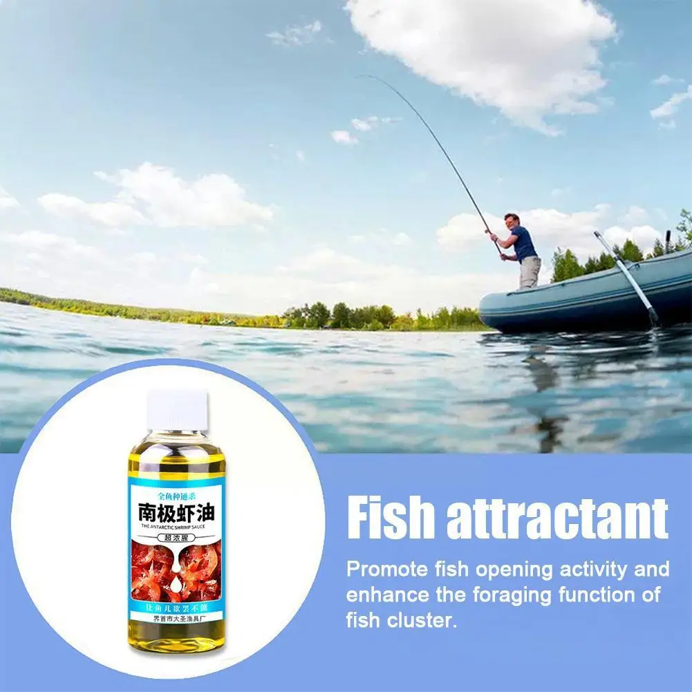 

Shrimp Bait Oil Antarctic Shrimp Oil 60ml Bait Scent Fish Attractants For Baits High Concentration Fish Bait Attractant Enh L4D3